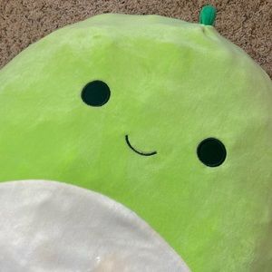 ❌SOLD❌ Adorable squish mellow